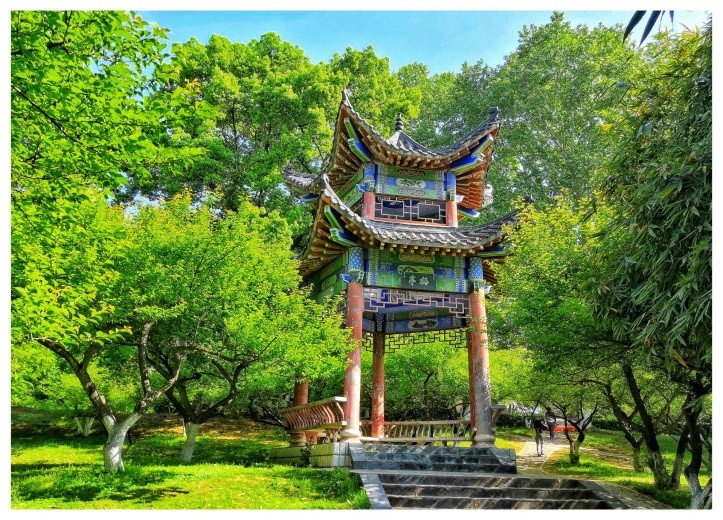 老虎机赌场