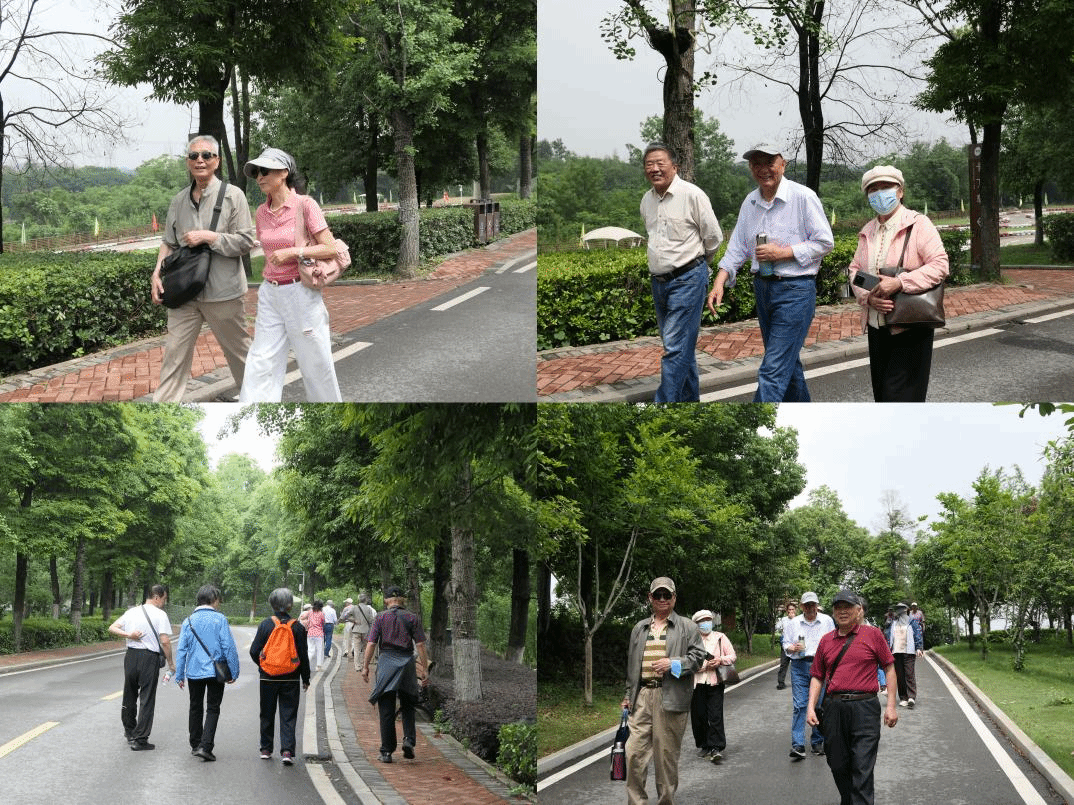 老虎机赌场
