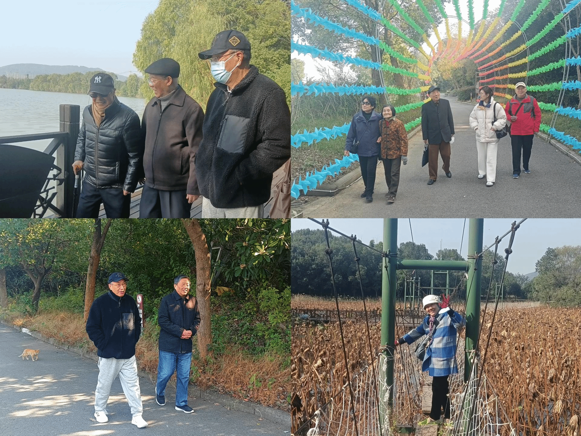 老虎机赌场